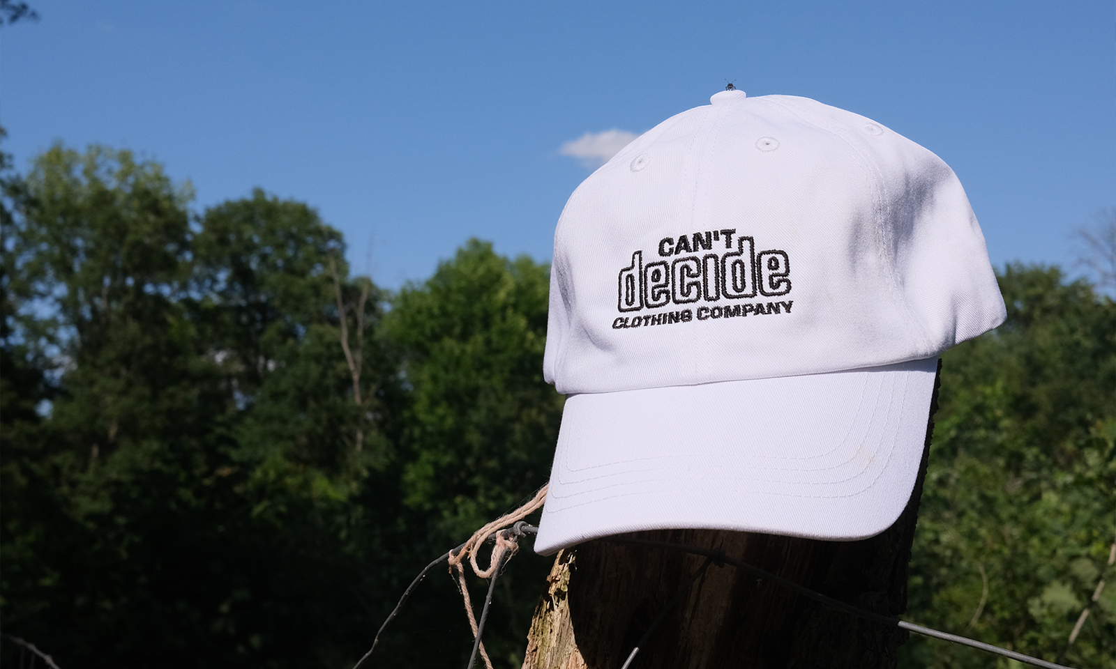 00_Masterslider_CD_Cap