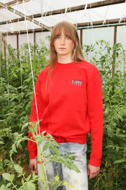 Piano House Sweater - Image 5